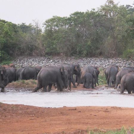 The Kingdom Ecolodge Monaragala Bagian luar foto